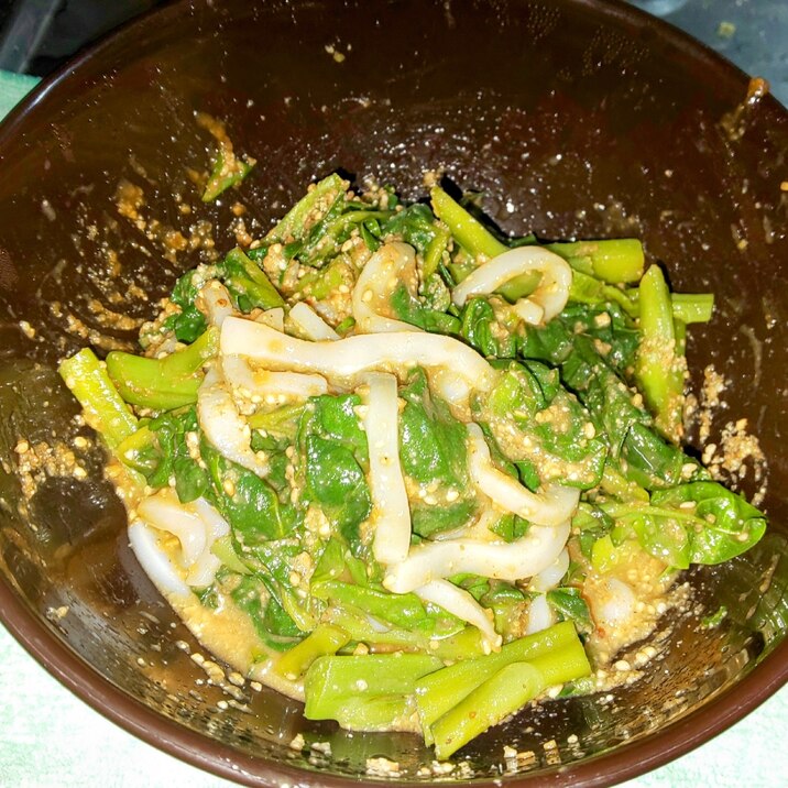 イカとつるむらさきの胡麻味噌和え